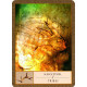 Оракул Шамана - The Shamans Oracle. Watkins Publishing