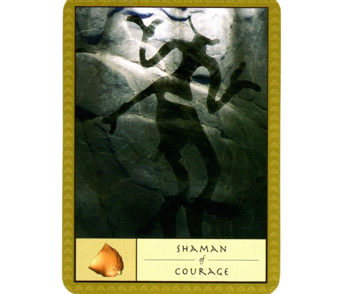 Оракул Шамана - The Shamans Oracle. Watkins Publishing