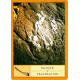 Оракул Шамана - The Shamans Oracle. Watkins Publishing