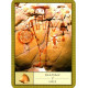 Оракул Шамана - The Shamans Oracle. Watkins Publishing