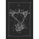 Таро Странника - Wanderers Tarot. Weiser Books