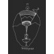 Таро Странника - Wanderers Tarot. Weiser Books