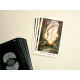 Таро Дикого Леса - The Wild Wood Tarot. Eddison Books