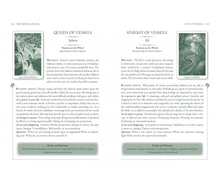 Таро Дикого Леса - The Wild Wood Tarot. Eddison Books