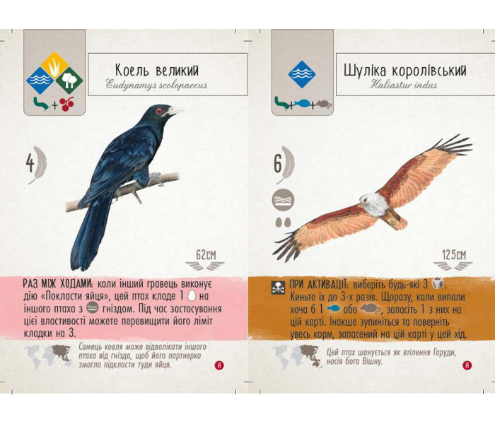 Настольная игра Крила: Птахи Азії (UA). Самостоятельное дополнение. Stonemaier Games (STM906)