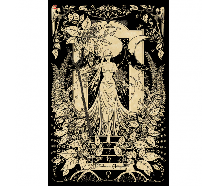 Магический Ботанический Оракул - The Magickal Botanical Oracle. Lo Scarabeo