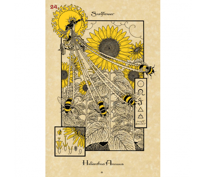 Магический Ботанический Оракул - The Magickal Botanical Oracle. Lo Scarabeo