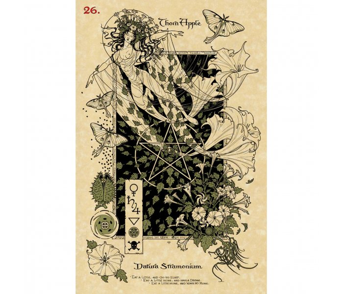 Магический Ботанический Оракул - The Magickal Botanical Oracle. Lo Scarabeo