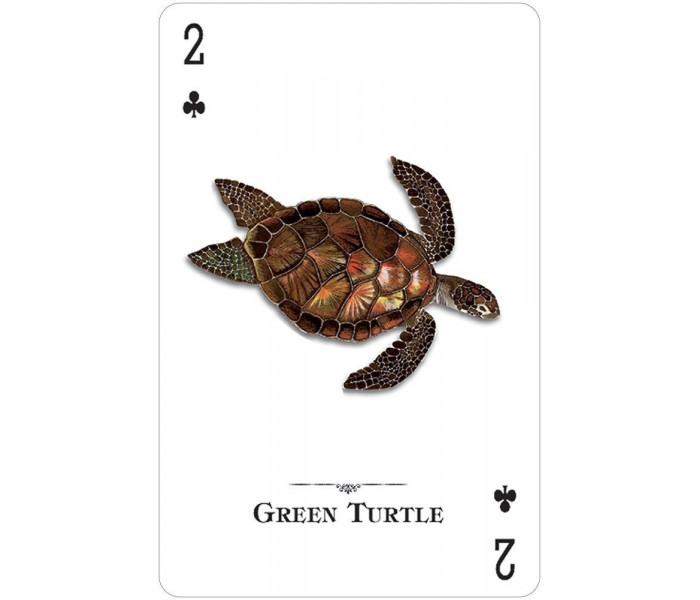 Игральные карты  Reptiles & Amphibians of the Natural World Playing Cards