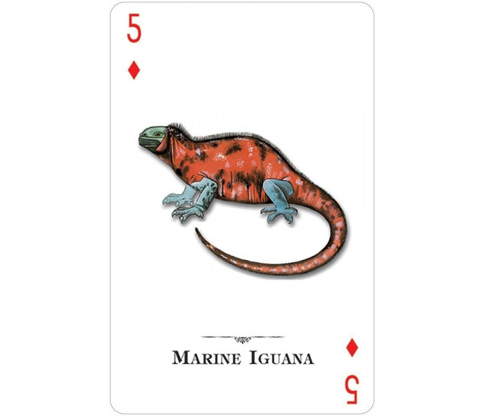 Игральные карты  Reptiles & Amphibians of the Natural World Playing Cards
