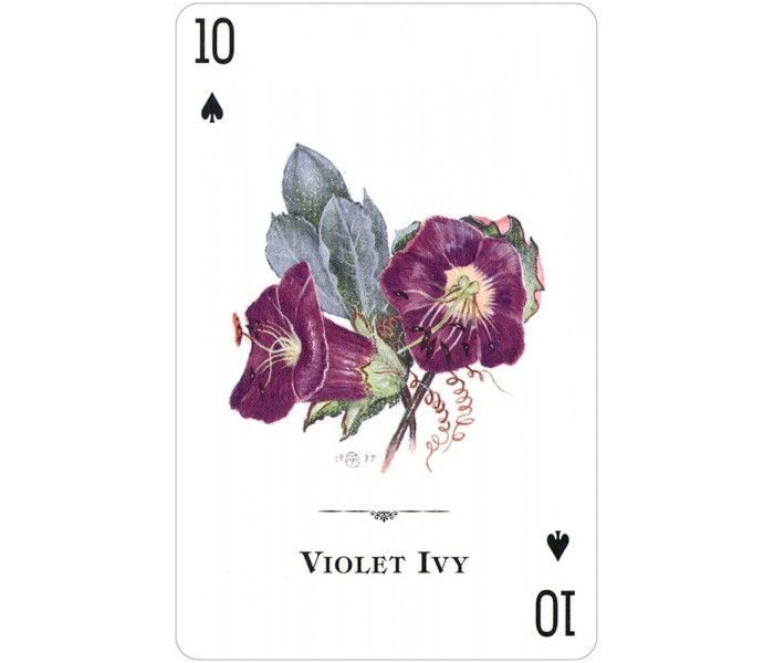 Игральные карты Wildflowers of the Natural World Playing Cards