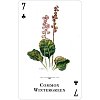 Фото 3 - Игральные карты Wildflowers of the Natural World Playing Cards
