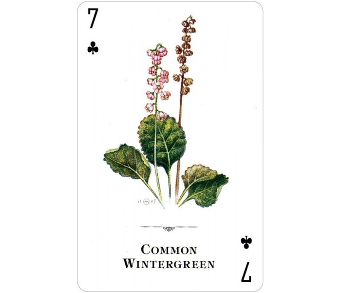 Игральные карты Wildflowers of the Natural World Playing Cards