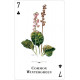 Игральные карты Wildflowers of the Natural World Playing Cards