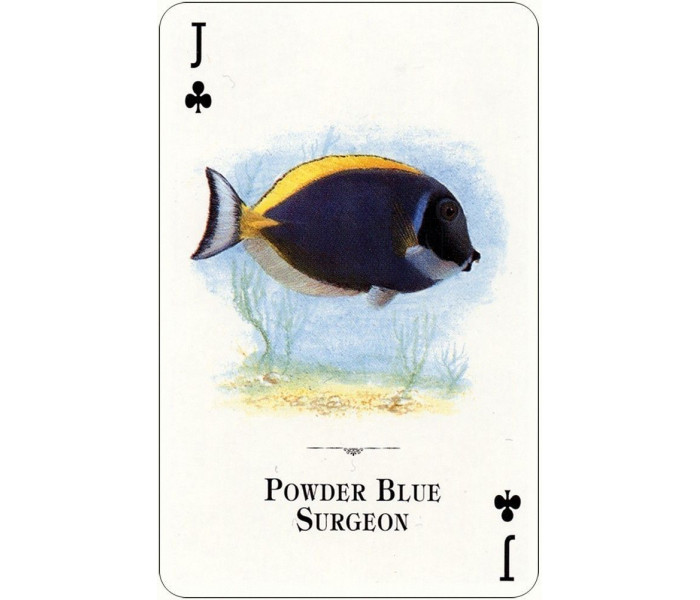 Игральные карты Aquarium Fish of the Natural World Playing Cards