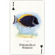 Игральные карты Aquarium Fish of the Natural World Playing Cards
