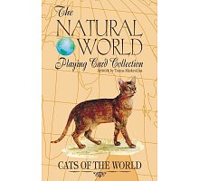 Фото Игральные карты Cats of the Natural World Playing Cards