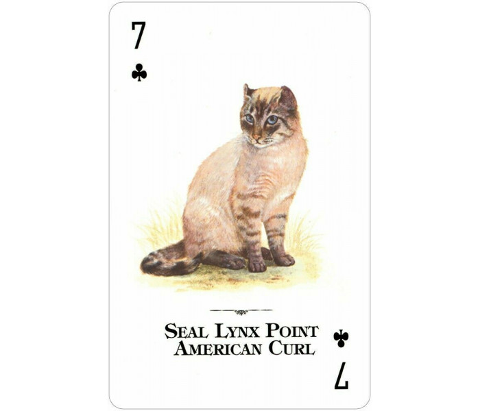 Игральные карты Cats of the Natural World Playing Cards