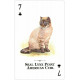Игральные карты Cats of the Natural World Playing Cards