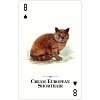 Фото 3 - Игральные карты Cats of the Natural World Playing Cards