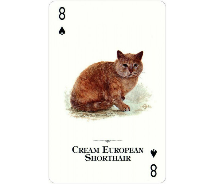 Игральные карты Cats of the Natural World Playing Cards