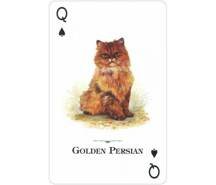 Игральные карты Cats of the Natural World Playing Cards