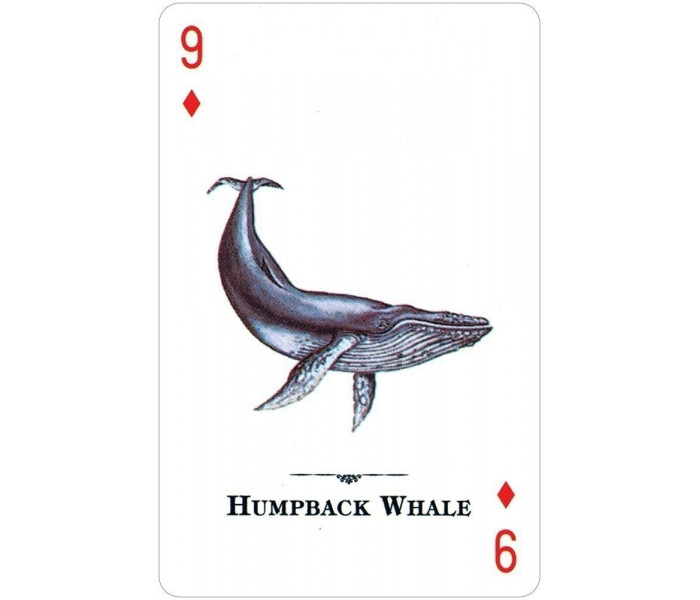 Игральные карты Endangered Species of the Natural World Playing Cards