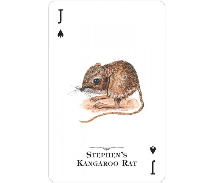 Игральные карты Endangered Species of the Natural World Playing Cards