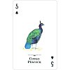 Фото 5 - Игральные карты Endangered Species of the Natural World Playing Cards