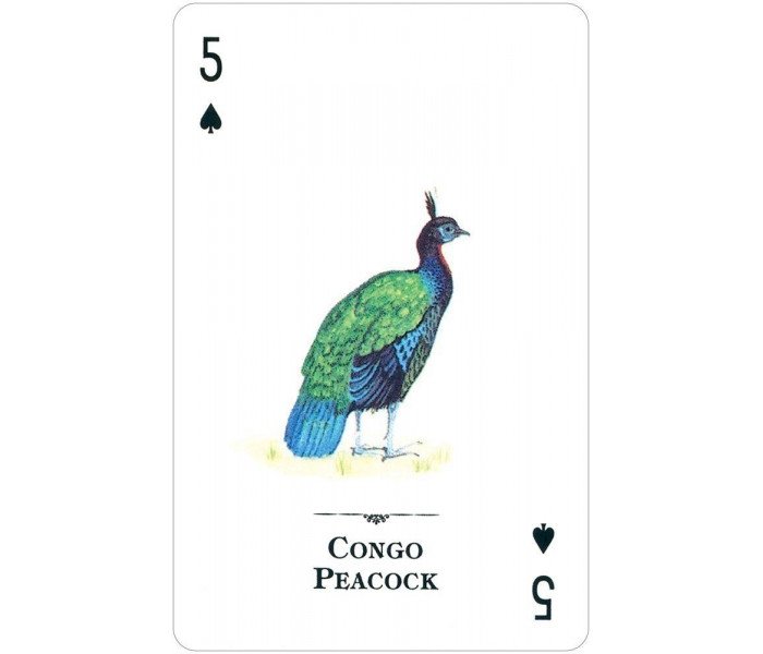 Игральные карты Endangered Species of the Natural World Playing Cards