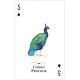 Игральные карты Endangered Species of the Natural World Playing Cards