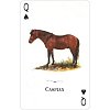 Фото 2 - Гральні карти Horses of the Natural World Playing Cards
