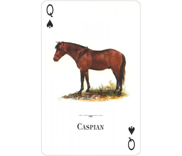 Гральні карти Horses of the Natural World Playing Cards