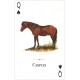 Гральні карти Horses of the Natural World Playing Cards
