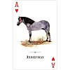 Фото 3 - Игральные карты Horses of the Natural World Playing Cards