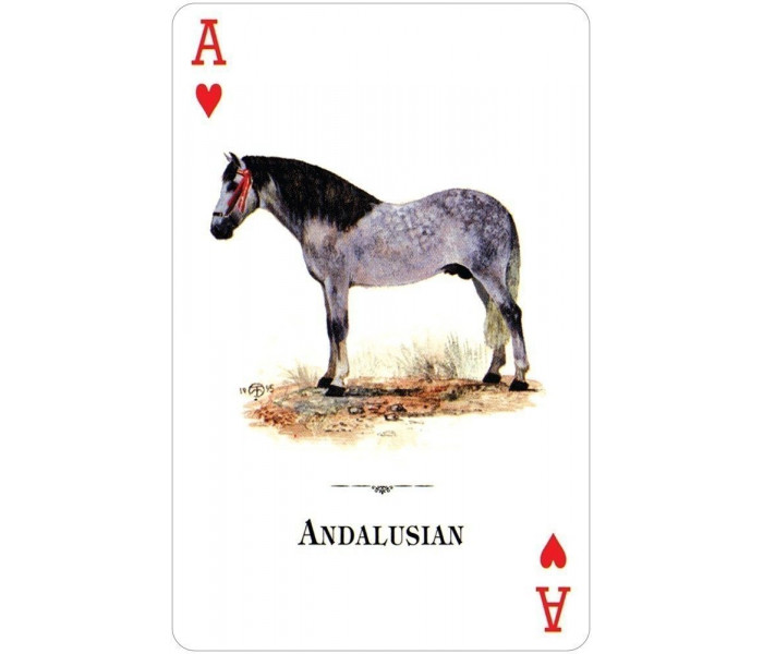 Гральні карти Horses of the Natural World Playing Cards