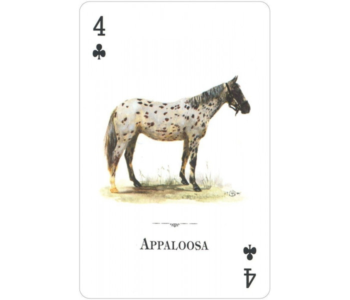 Гральні карти Horses of the Natural World Playing Cards