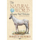 Гральні карти Horses of the Natural World Playing Cards
