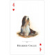 Игральные карты Dogs of the Natural World Playing Cards