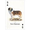 Фото 4 - Игральные карты Dogs of the Natural World Playing Cards
