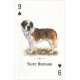 Игральные карты Dogs of the Natural World Playing Cards