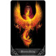 Готический Оракул Анны Стокс - Anne Stokes Gothic Oracle. U.S. Games Systems