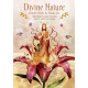 Оракул Божественна Природа - Divine Nature Oracle Deck. U.S. Games Systems