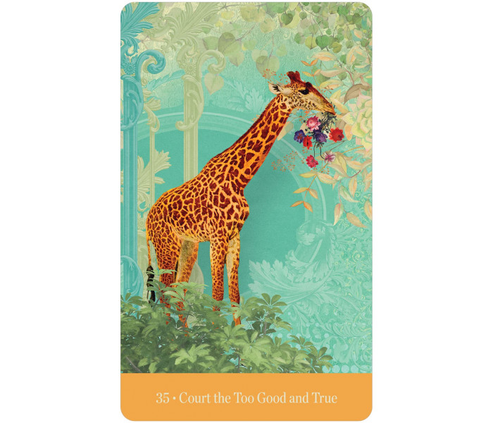 Оракул Любіть Себе Такими, Якими Ви Є - Love Who You Are Oracle Cards. U.S. Games Systems