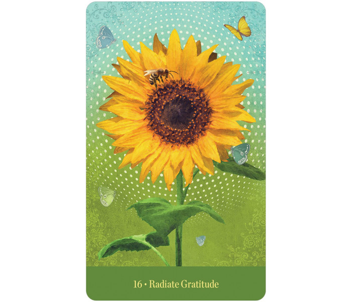Оракул Любіть Себе Такими, Якими Ви Є - Love Who You Are Oracle Cards. U.S. Games Systems
