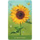 Оракул Любіть Себе Такими, Якими Ви Є - Love Who You Are Oracle Cards. U.S. Games Systems