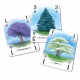 Настольная игра Арборетум (Arboretum) УКР. Woodcat (W0017)