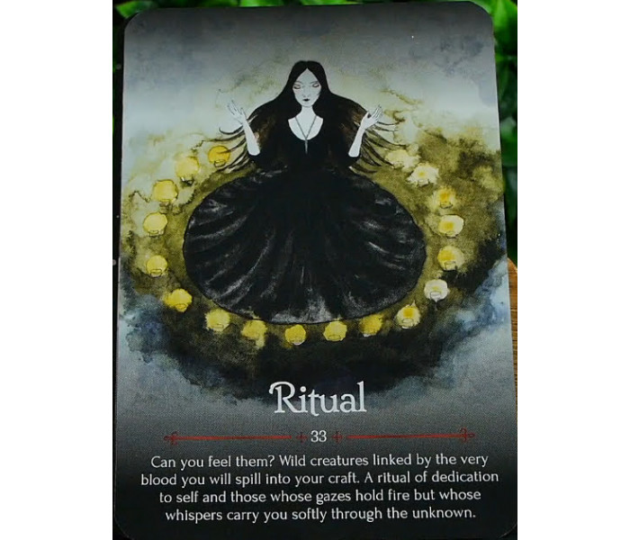 Оракул Пори Року Відьом. Самайн - Seasons of the Witch. Samhain Oracle. China