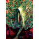 Космический Оракул - Cosmic Oracle. Rockpool Publishing