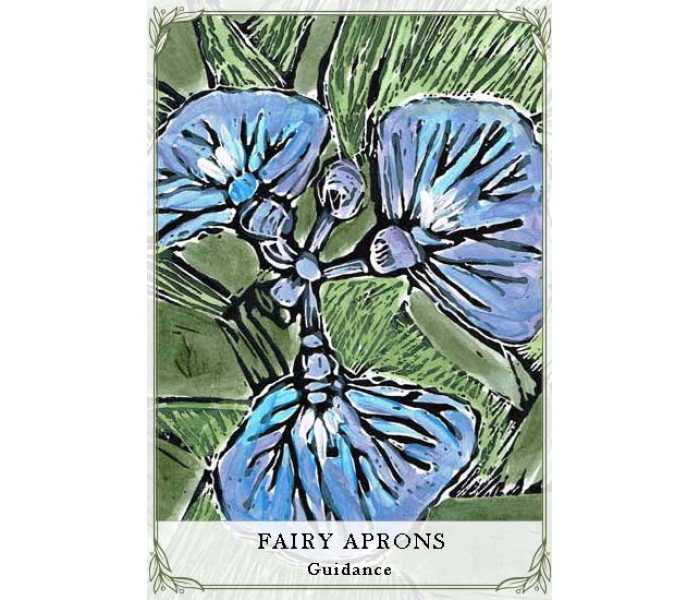 Карти для читання про дикі квіти Австралії - Australian Wildflower Reading Cards. Rockpool Publishing